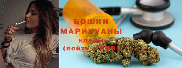бошки Инта