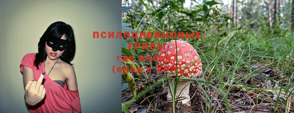 бошки Инта