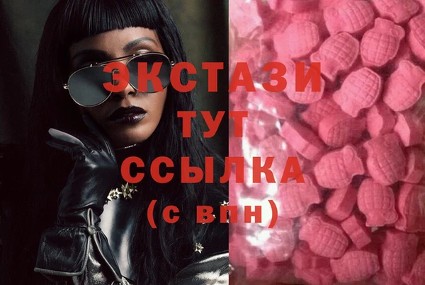 бошки Инта