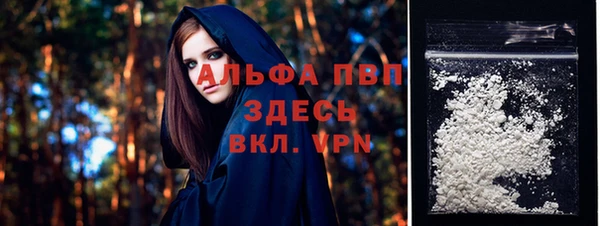 бошки Инта